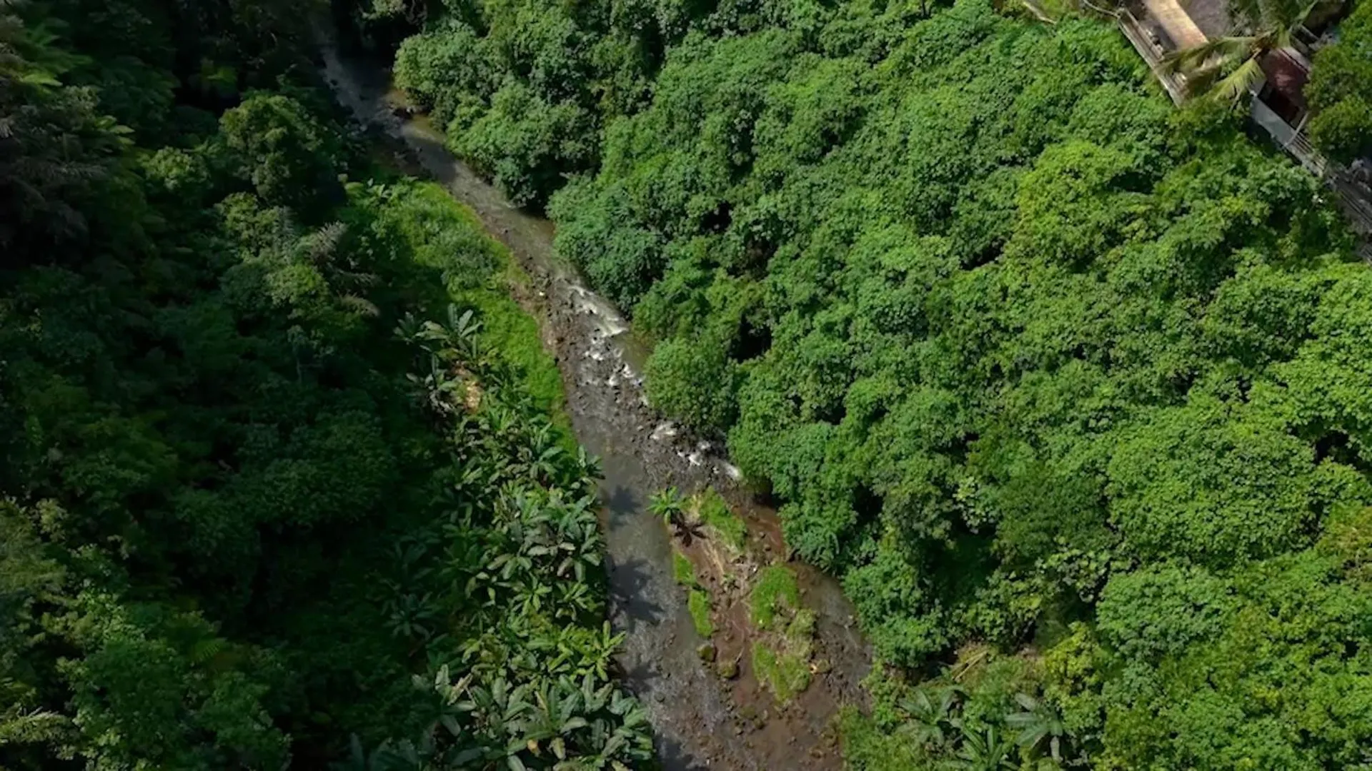 Sumeru Botanical Estate By Lead Luxury Ubud  Indonesia