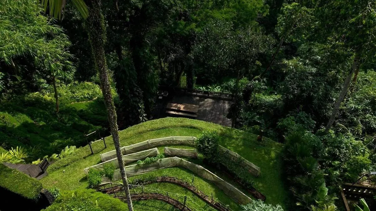 Villa Sumeru Botanical Estate By Lead Luxury Ubud  Indonesia
