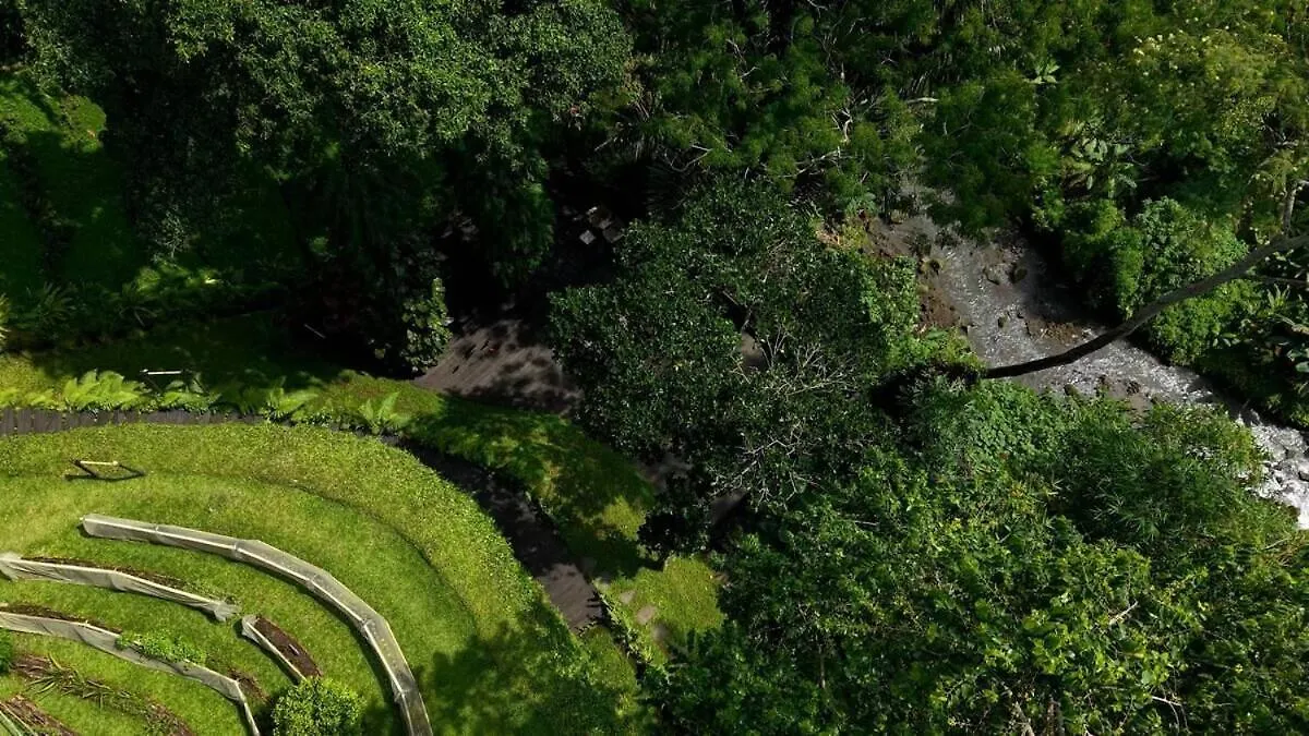 Villa Sumeru Botanical Estate By Lead Luxury Ubud